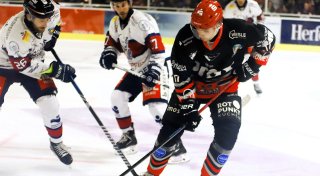 Die Sensation vor Augen: Underdog Herforder EV startet in die Playoffs