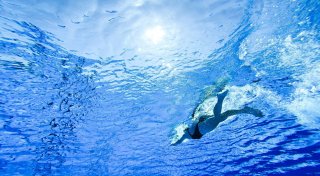 Schwimmen mit frischen Ohrlöchern - ja oder nein?