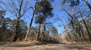 Zweiter Weltkrieg: Der Weg ins Unheil des Stalag führt über Hövelhof
