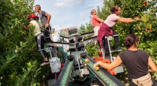 Apfeltag in Hiddenhausen 2025: Alle Infos zu dem beliebten Familienfest