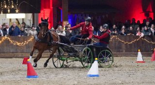 Herford feiert 40. Gala-Abend des Pferdes: Show, Sport und Gänsehaut