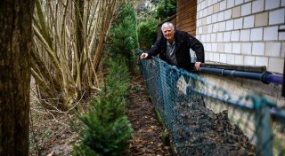 Darum hat ein Herforder wegen einer kleinen Eibenhecke Stress mit der Stadt