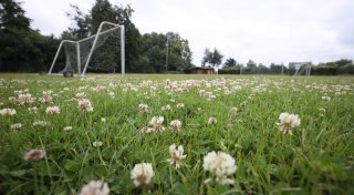 Dorferneuerungsprogramm in Bad Oeynhausen: Lohes neue Mitte in Randlage