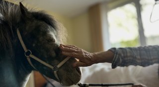 Kleinstes Pony der Welt besucht Hospiz in Gütersloh