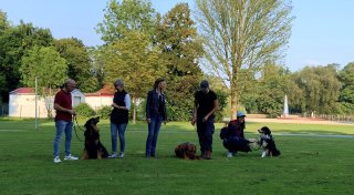 Hunde verstehen lernen: Trainerin aus Rödinghausen über die Sprache der Tiere