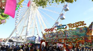 Herbstlibori-Finale, veganer Brunch und Basketball: Tipps fürs Wochenende im Kreis Paderborn