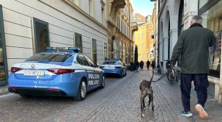 Südtirol gibt Pläne für «Hunde-Taxe» von Urlaubern auf