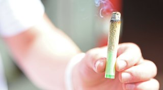 Cannabis-Konsum bei 18- bis 25-Jährigen deutlich gestiegen