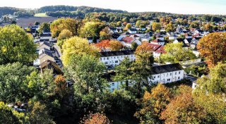 Nach Kettensägen-Streit: Bielefelder Bäume könnten bald ungestört weiter wachsen