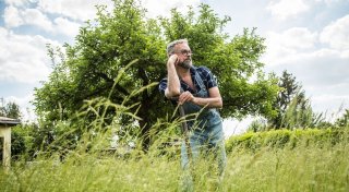 Kräuterrasen anlegen: So funktioniert es