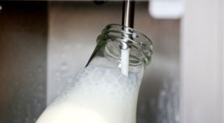 BfR: Nachteile von Rohmilch überwiegen Vorteile