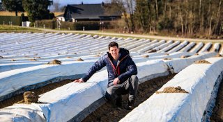Lecker und begehrt: So viel kostet Spargel aus Herford in diesem Jahr