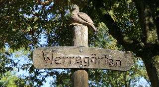 Alles wird auf links gedreht: Baustart für Herfords neue Werregärten