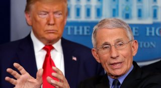 Trump verteidigt Entzug des Personenschutzes für Fauci