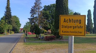 Buddeln sich bis unter die Särge: Auf Friedhof in Bünde werden Kaninchen gejagt