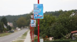 Umfrage sieht AfD vor Landtagswahl in Brandenburg vor regierender SPD