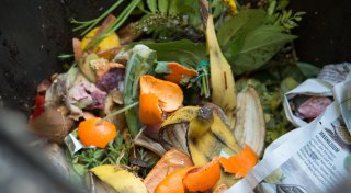 Biomüll günstig entsorgen: Bielefeld, Herford, Lippe planen Großprojekt