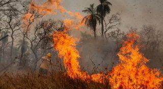 Indigene Feuerwehrleute kämpfen in Brasilien gegen Flammen
