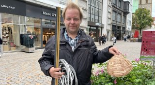 Asiatische Hornissen breitet sich in Bielefeld aus: So schützen Sie sich