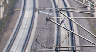 Fahrpläne in OWL weiterhin ausgedünnt: Diese Verbindungen sind betroffen