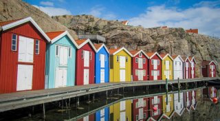 Geschmack aus dem Fjord: Bluefood-Tour an Schwedens Küste