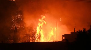 Griechenland: Mehr als 300 Brandstifter festgenommen