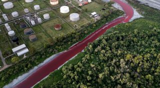 «Fluss aus Blut»: Bach in Argentinien färbt sich rot