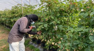 Menschenhandel in Portugal: Elf Polizisten festgenommen