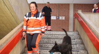 Rettungshunde suchen im Gymnasium nach Kindern