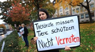 System Schlachthof - Zwischen Personalmangel und Tierschutz
