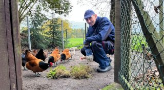 Vogelgrippe breitet sich aus: Wie kann Geflügel in OWL jetzt geschützt werden?