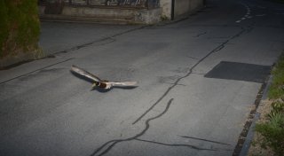 Schweizer Gemeinde: Rasende Ente in der Radarfalle