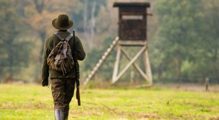 Jagdunfall im Warburger Wald: Der Schütze ist ein Polizist aus Paderborn