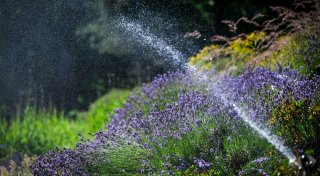 Wetterdienst: Juni war außergewöhnlich warm