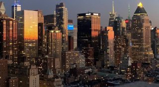 Bielefelderin entdeckt ungewöhnliche Tier-Freundschaft - und landet in der „New York Times“