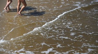 Gefahr durch Vibrionen: Sommerhitze lässt das Risiko steigen
