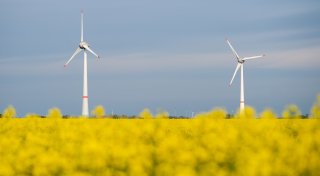 Erneuerbare Energien: Einige Städte im Kreis Höxter hinken hinterher