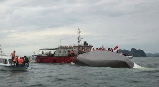 Ausflugsboot kentert in Halong-Bucht: Tote und Vermisste