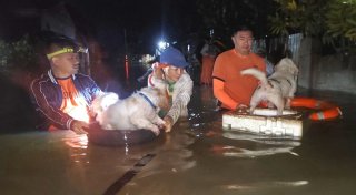 Taifun «Bualoi» trifft auf Philippinen - Tausende evakuiert