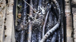 Innenminister vermutet Linksextremisten hinter Brandsätzen