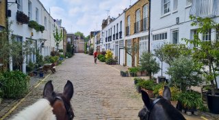 Hoch zu Ross: Mit dem Pferd durch Londons Hyde Park