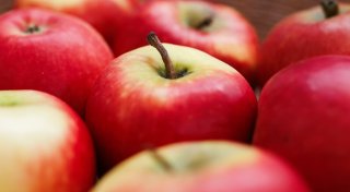 Apfel für Allergiker soll im Herbst in Supermärkte kommen