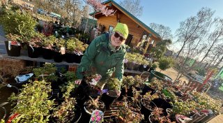 Pflanzenexpertin aus dem Kreis Paderborn hat fünf Tipps für den Garten