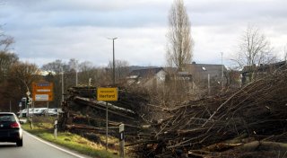 „Schlag gegen den Klimaschutz“: Hunderte Bäume werden für Ausbau der B61 in Herford gefällt