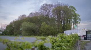 „Unglaubwürdig“: Pro Grün widerspricht der Stadt Paderborn beim Thema Hesse-Wäldchen