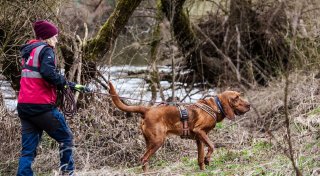 Weiter keine Spur von Sechsjährigem in Weilburg