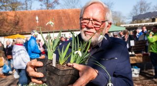 Schönheiten und Raritäten locken Tausende zum Schneeglöckchenfest in den Kreis Herford