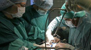 Schweineleber in lebenden Menschen transplantiert