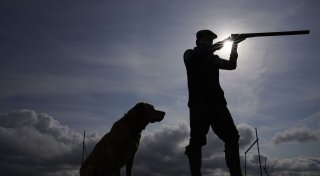 Bleimunition wird weiter zur Jagd eingesetzt