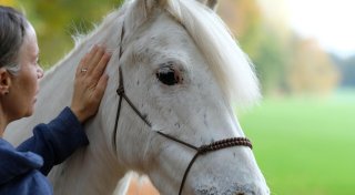 Lebensgefahr für Mensch und Pferd: Nachbarn im Kreis Gütersloh kämpfen gegen Windräder